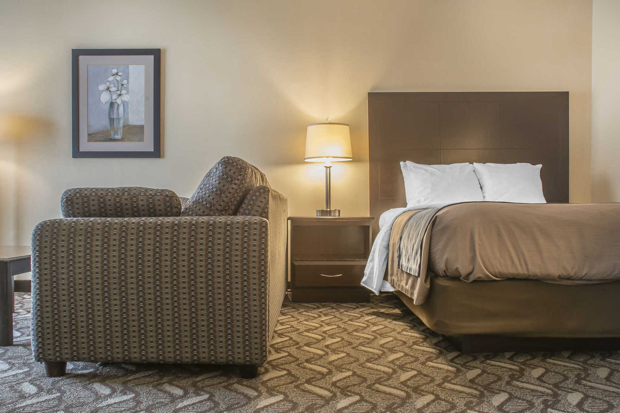Comfort Inn & Suites Ambassador Bridge Уиндзор Стая снимка