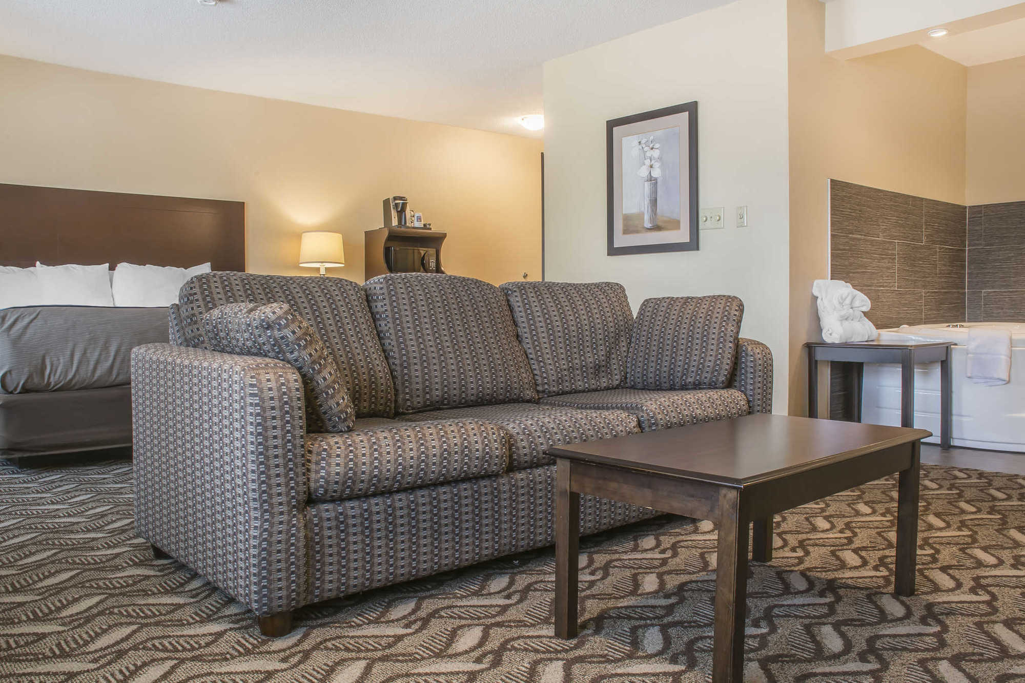 Comfort Inn & Suites Ambassador Bridge Уиндзор Стая снимка